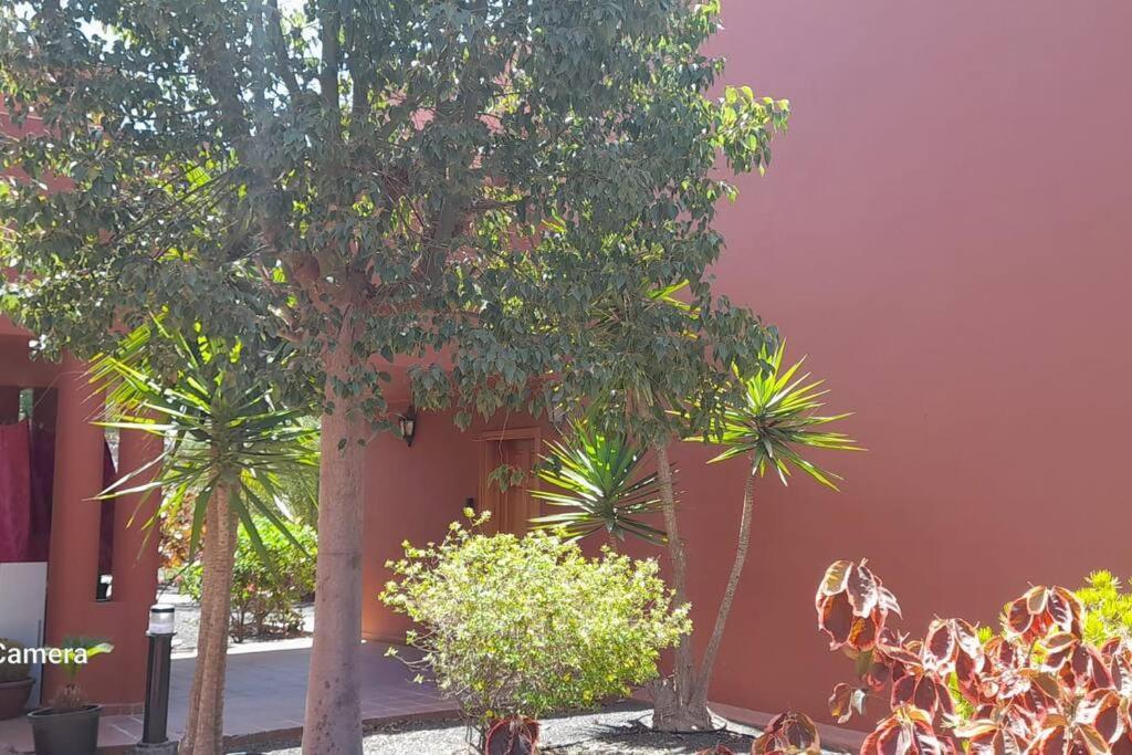 Apartment Cumbre Vieja Fuerteventura Corralejo Exterior foto