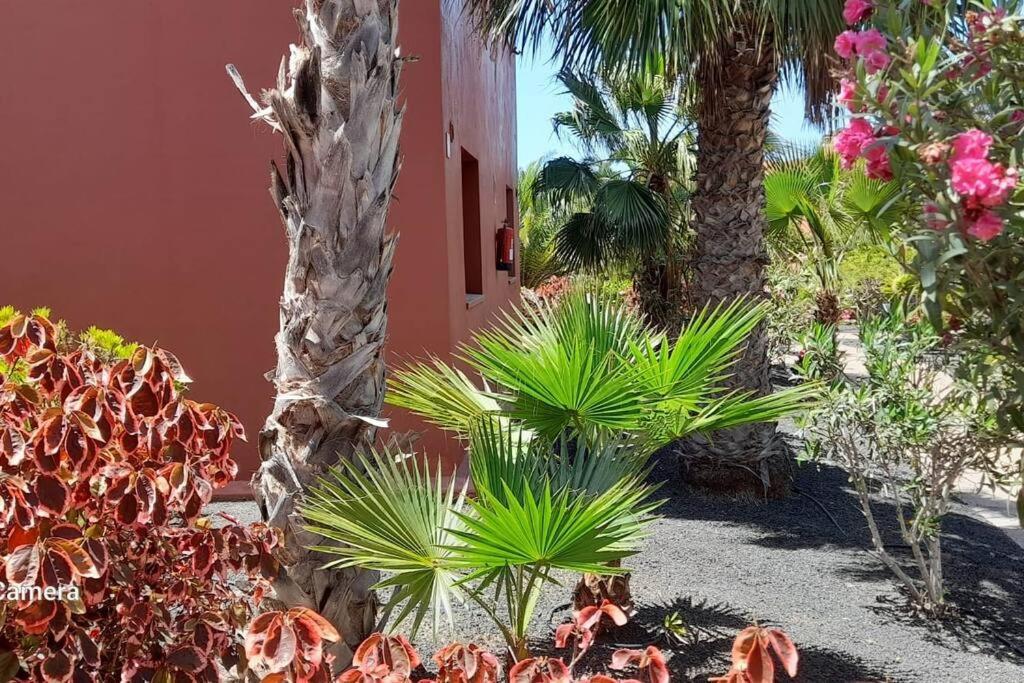 Apartment Cumbre Vieja Fuerteventura Corralejo Exterior foto